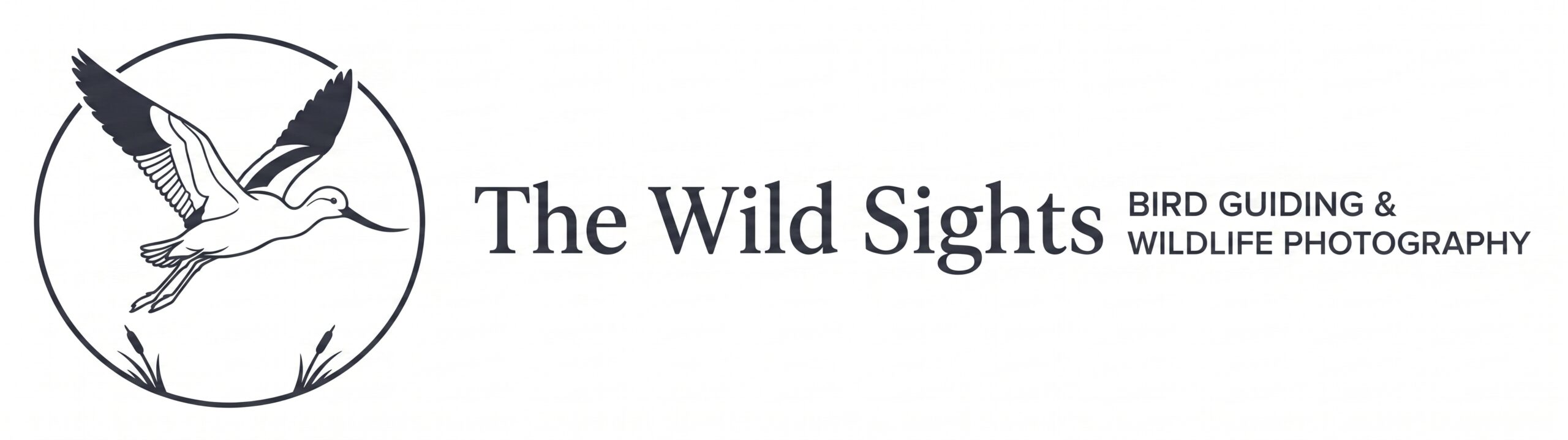 Las Vegas Bird Tours – The Wild Sights