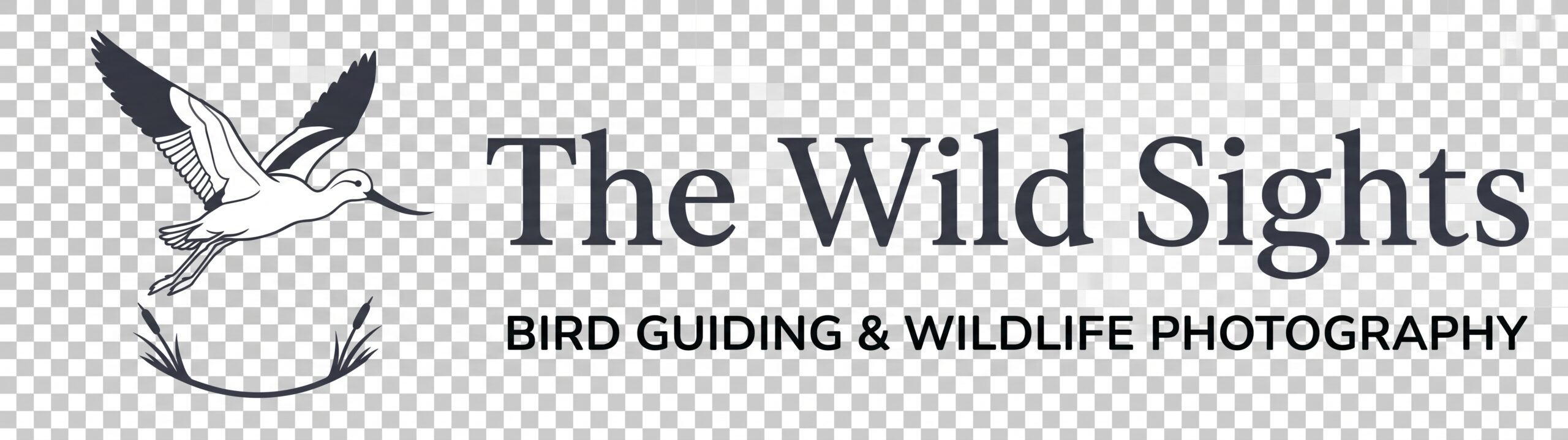 Las Vegas Bird Tours – The Wild Sights