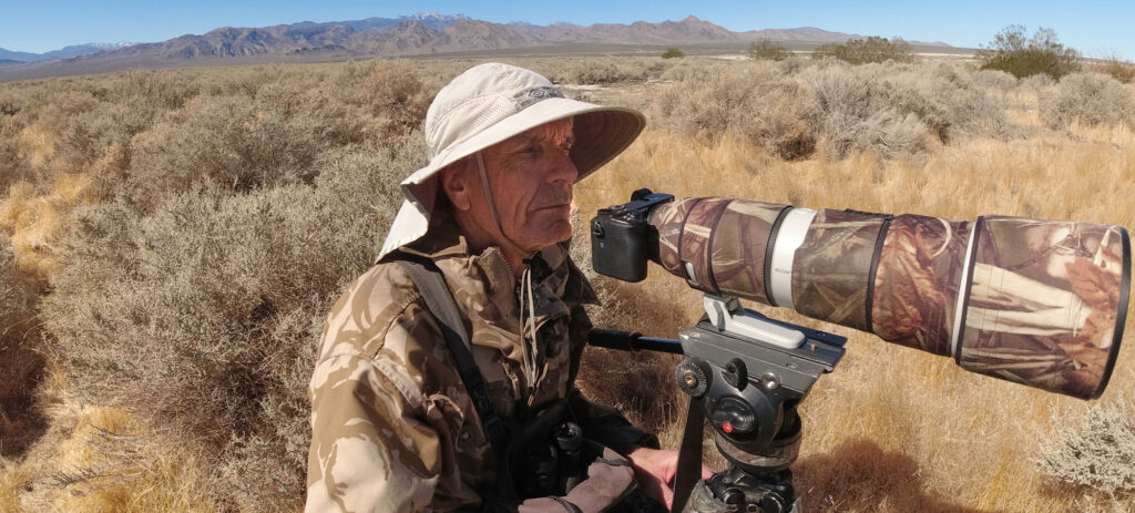 Dave Anderson photographing Leconte's Thrashers