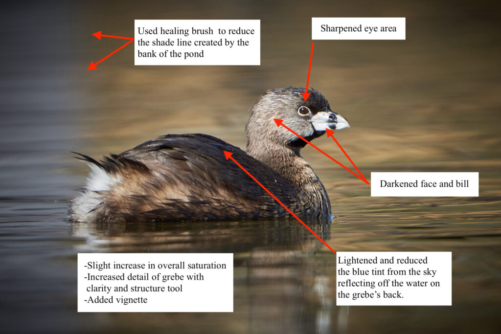 grebe edit details